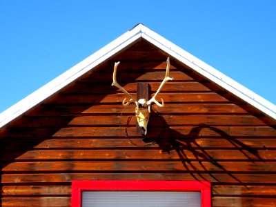 Leadville, United states, Colorado photo