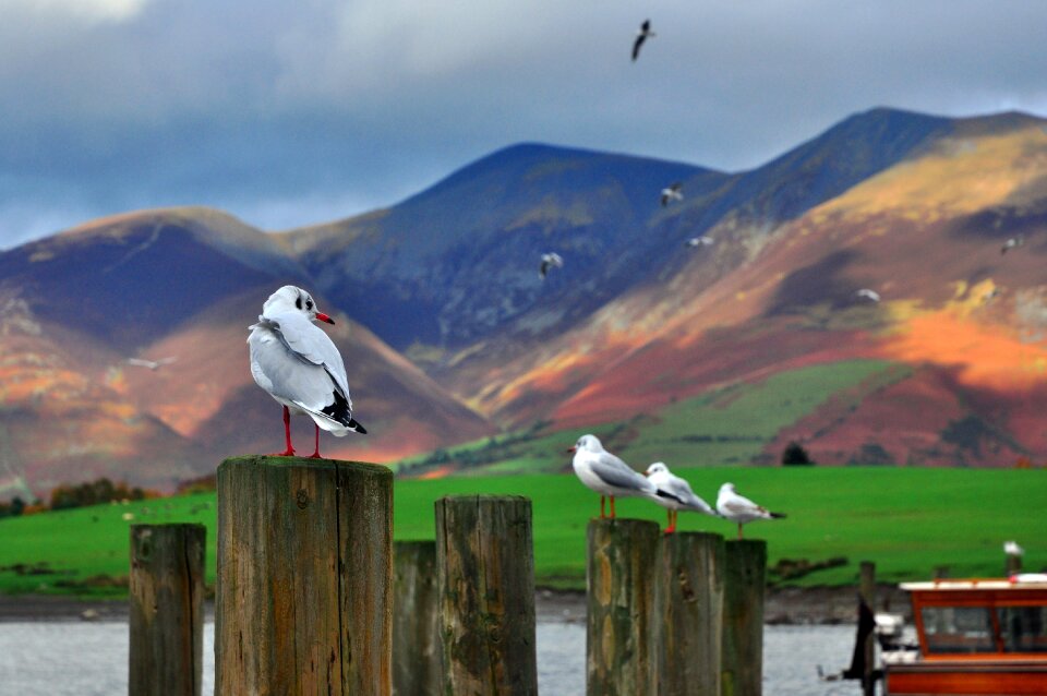 Derwentwater lake mountains