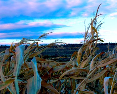 Billings, United states, Scenery