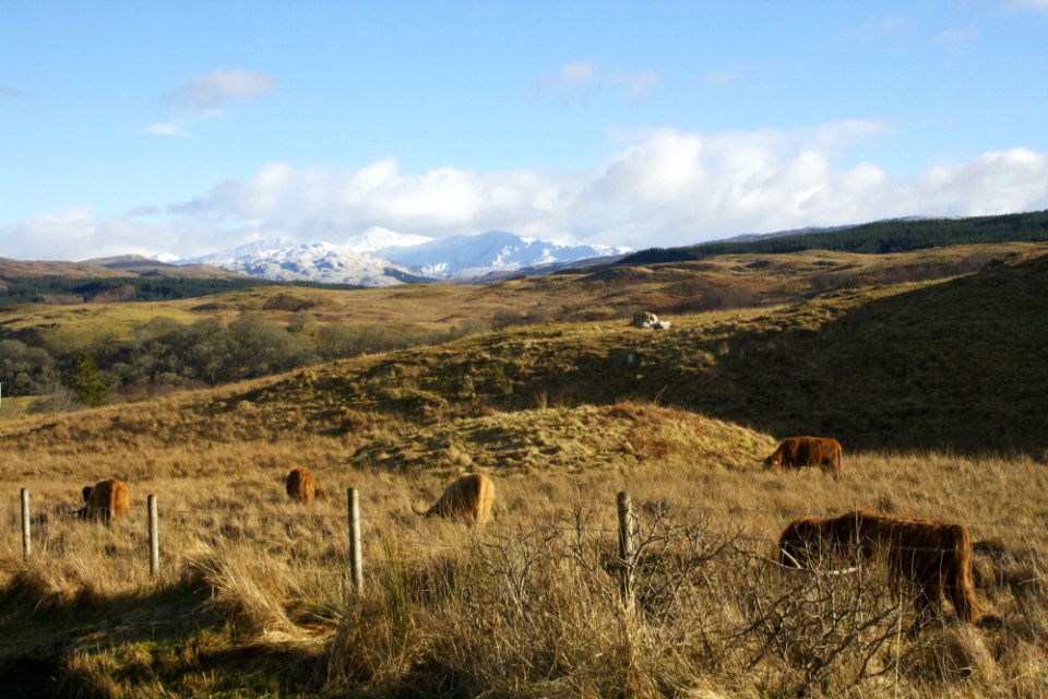 Scotl, United kingdom, Scape