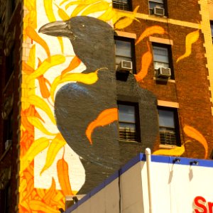 New york, United states, Murals