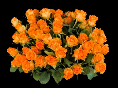 Greeting bouquet happy birthday