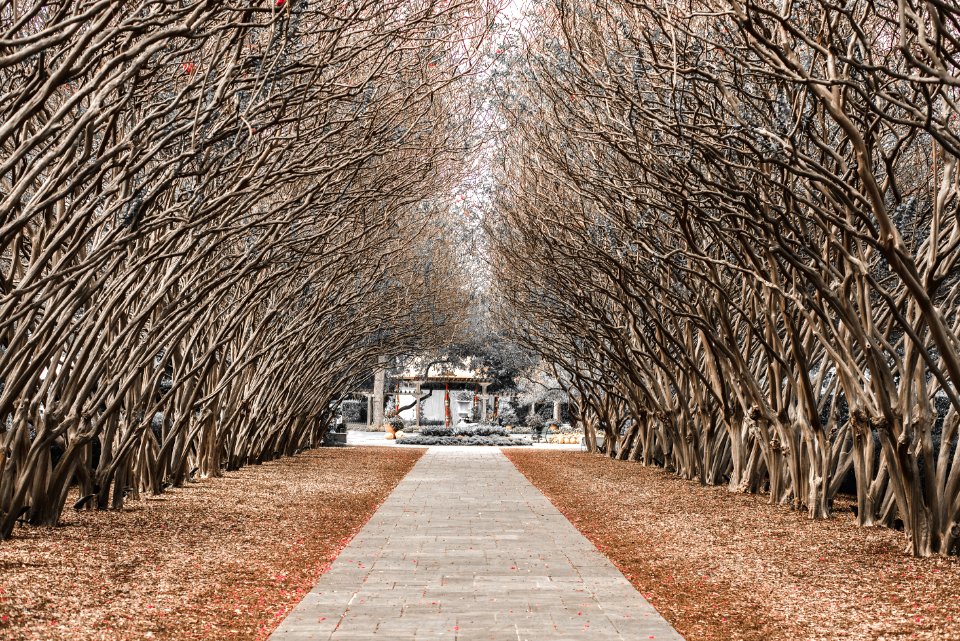 Dallas arboretum, Botanical garden, Dallas