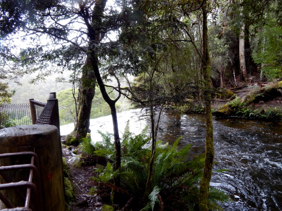 Mount field national park, National park, Australia