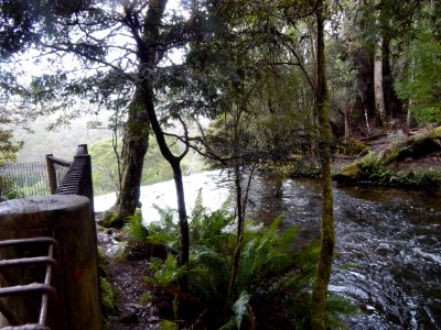 Mount field national park, National park, Australia