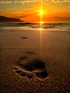Beach, Nature, Beautiful
