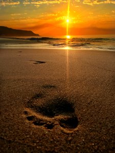 Beach, Nature, Beautiful photo