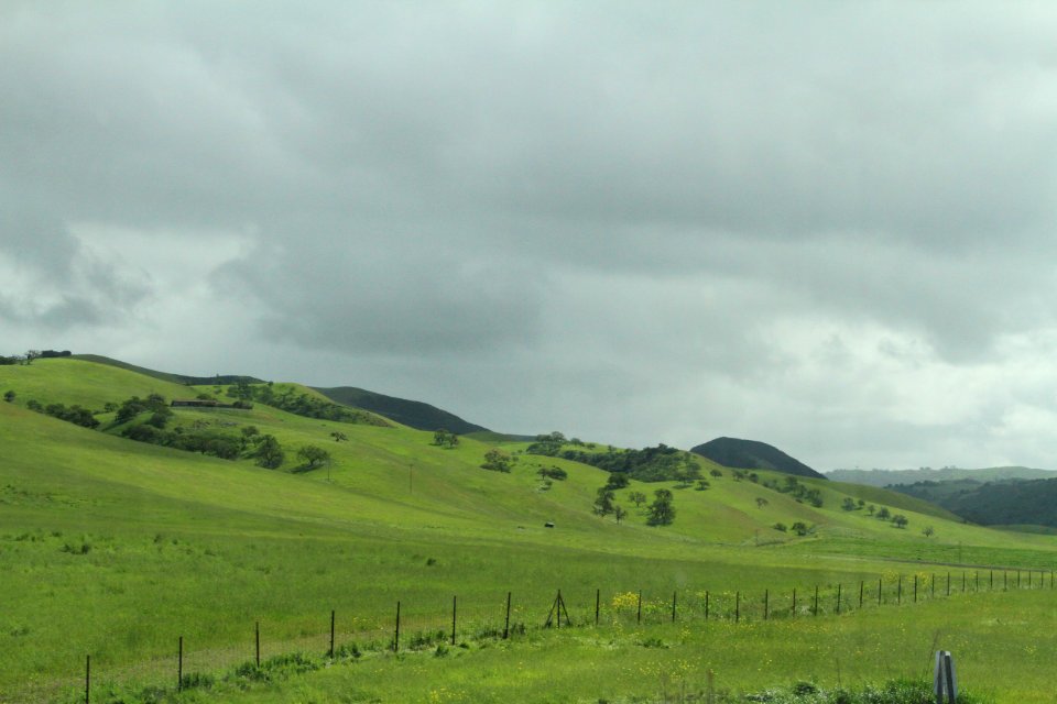 Coalinga, United states, California