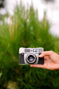 Travel, Photography, Green