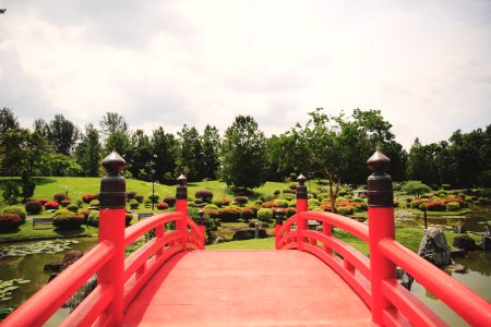 Japanese garden, Singapore photo