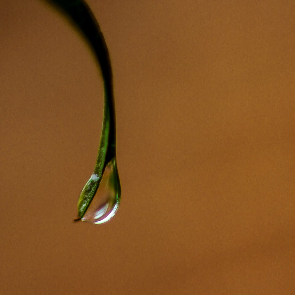 London, United kingdom, Macro