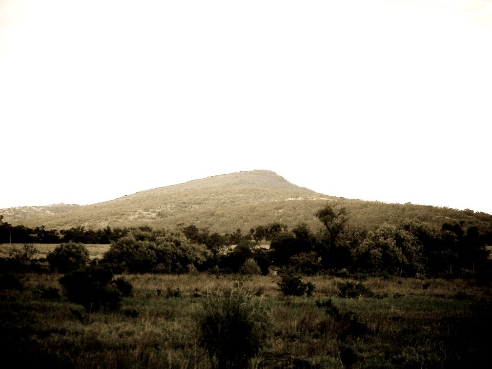 Washed out, Outback, Grass
