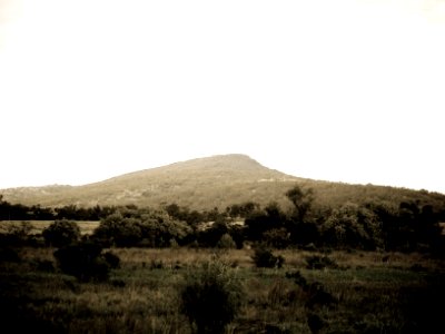 Washed out, Outback, Grass