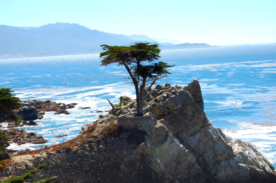 Mark, California, Roadtrip
