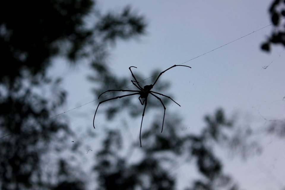 Bengaluru, India photo