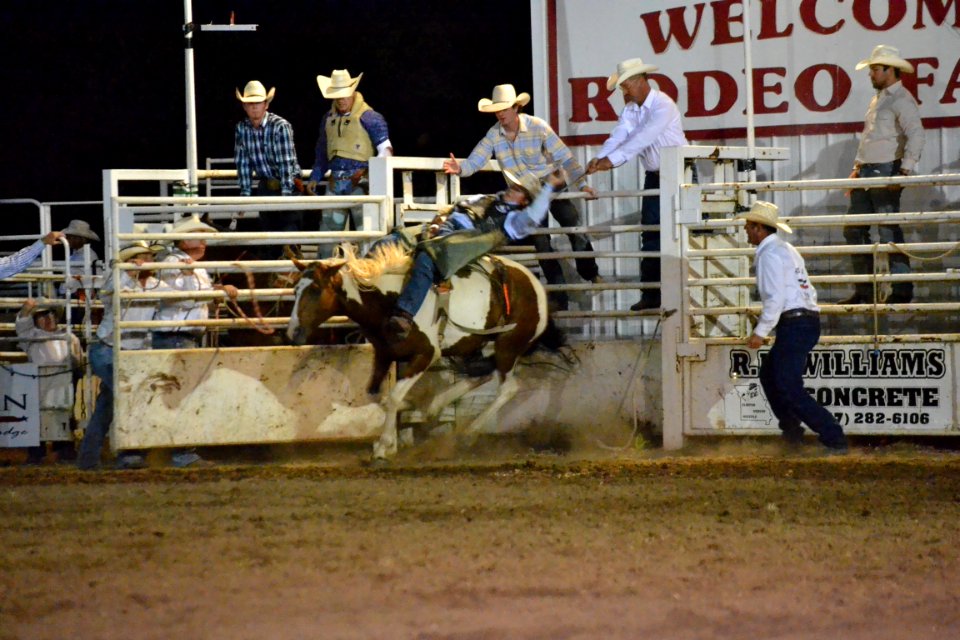 Osceola, United states, Bronco