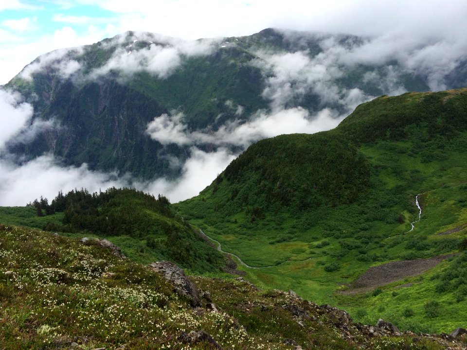 44014403 thane rd, Juneau, Ak 99801