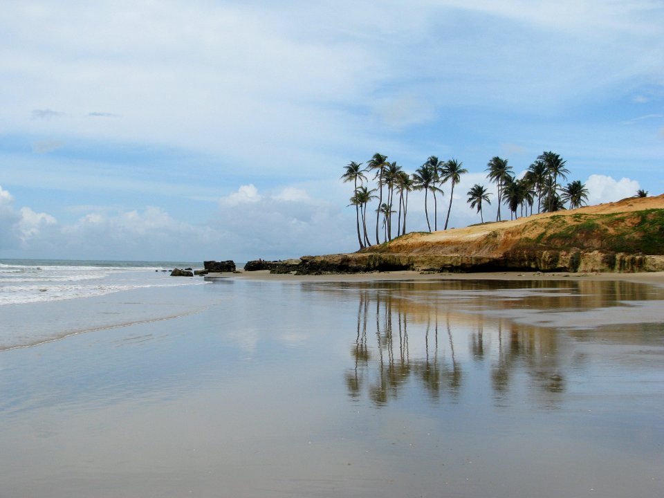 Cear, Wallpaper, Nature