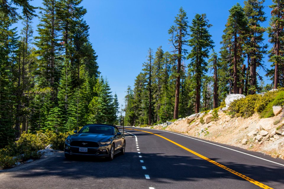 Yosemite national park, United states, Park