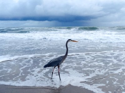 Paradise beach  park, Melbourne, United states