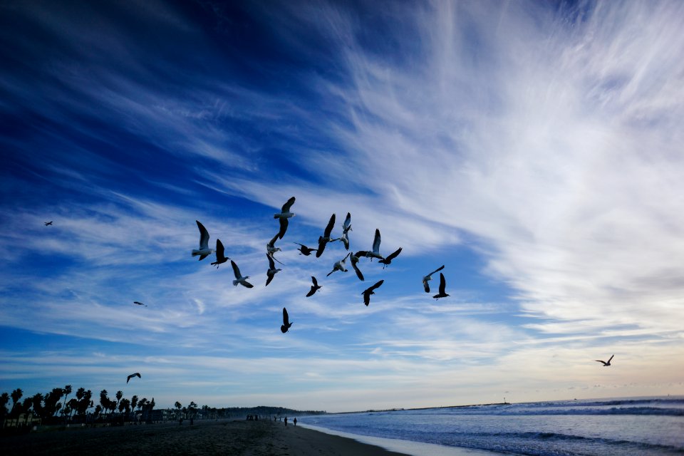 San diego, United states, Photography