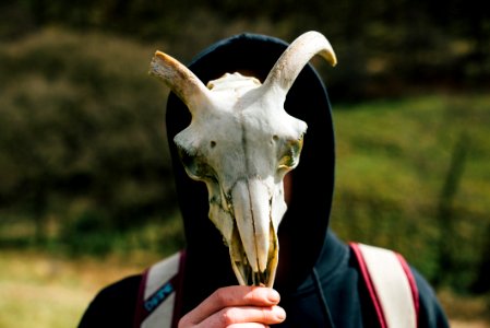 Mask, Person, Hoody photo