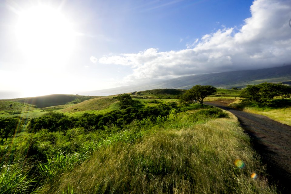 Piilani highway, Hana, United states