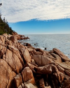 Red rocks on acadias shore, Bar harbor, Maine photo