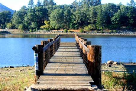 Lake cuyamaca, United states, Forest