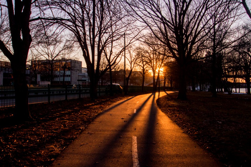 Boston, United states, Winter sun
