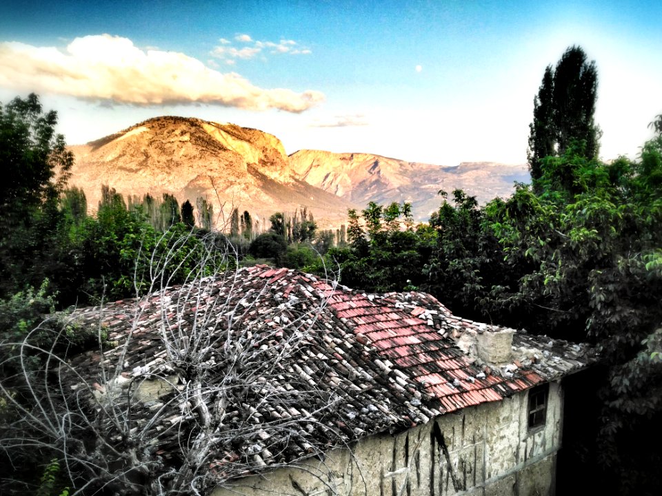 Village, Turkey, Trees