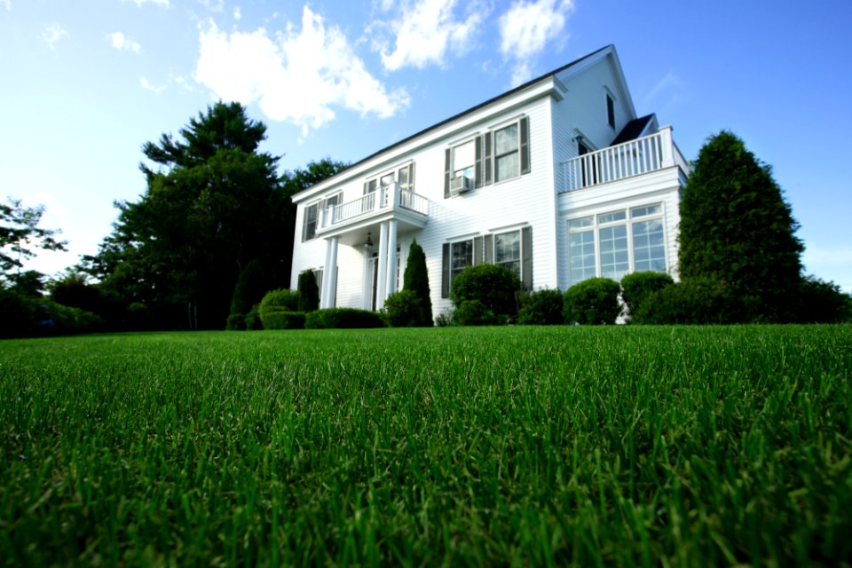 House, Nature, Scarborough