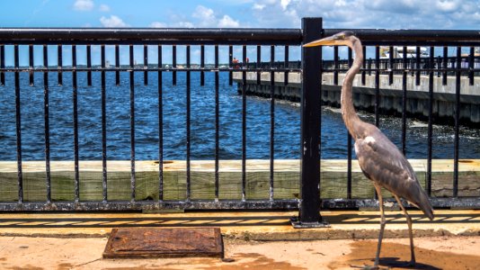 Pensacola, United states, Gulf coast