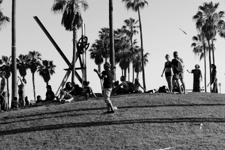 The venice beach boardwalk, Los angeles, United states
