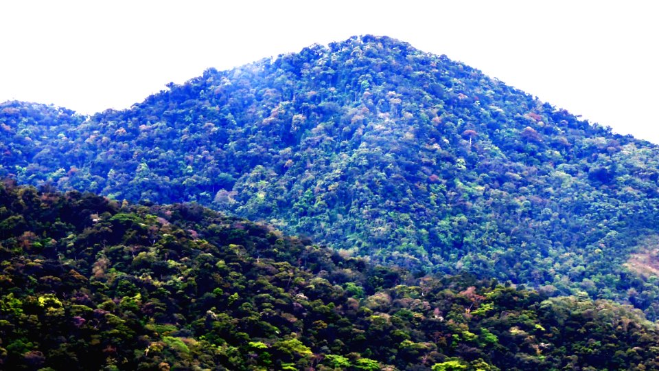Serra do mar, Brasil