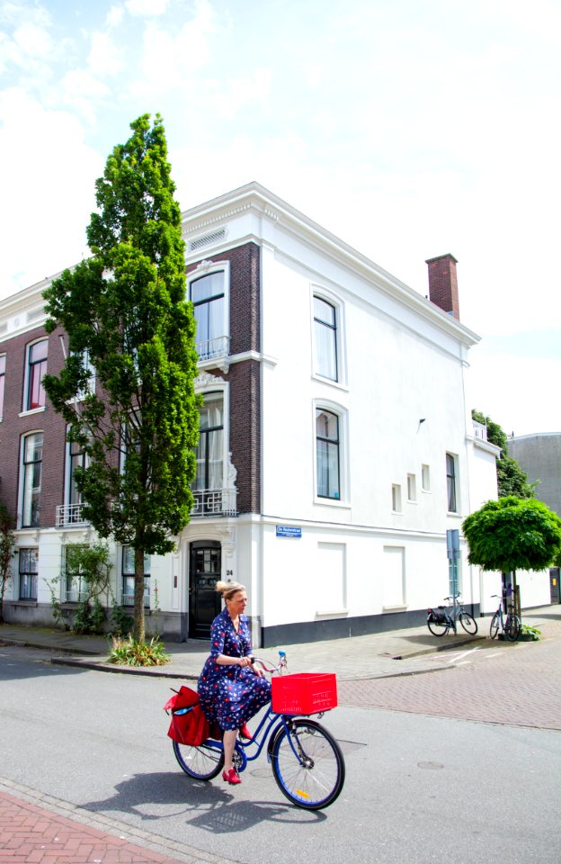 The hague, Netherland, Basket