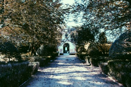 Coimbra, Portugal, Autumn