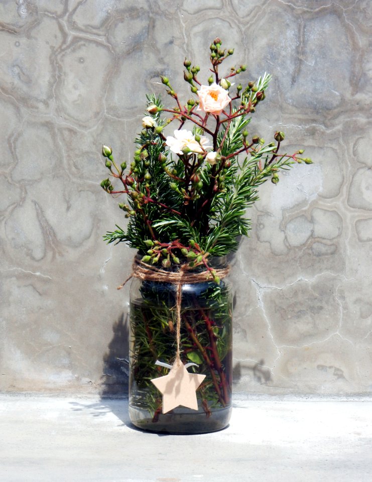 Flowers, Rosemary, Roses