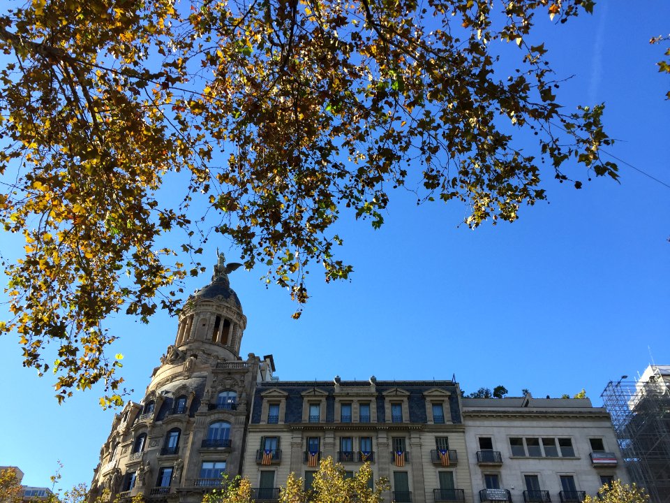 Paseo de gracia   barcelona, Dreta de l eixample, Barcelona