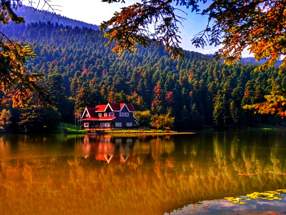 Glck milli park no587, 14030 mesciler kybolu merkezbolu, Turkey