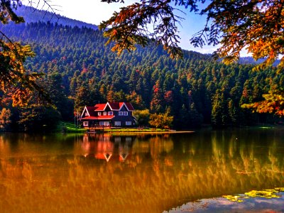 Glck milli park no587, 14030 mesciler kybolu merkezbolu, Turkey