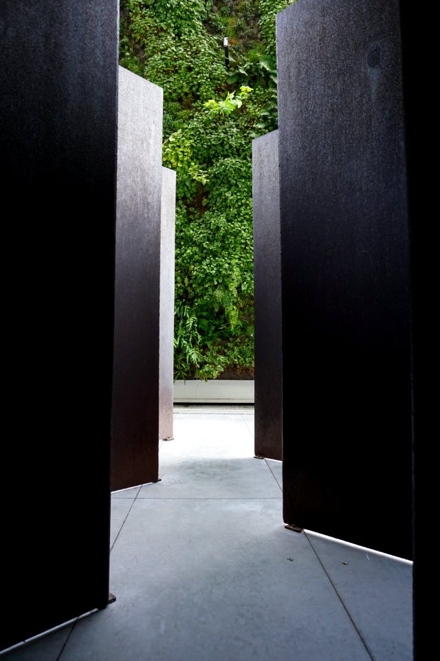 San francisco, United states, Moma