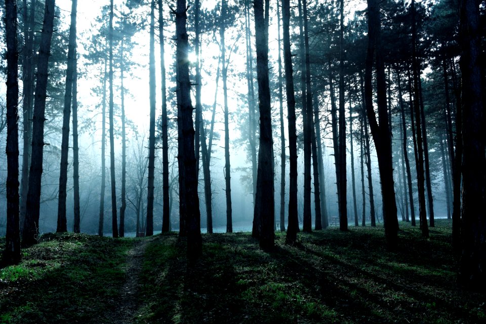 Novi sad, Serbia, Mistery