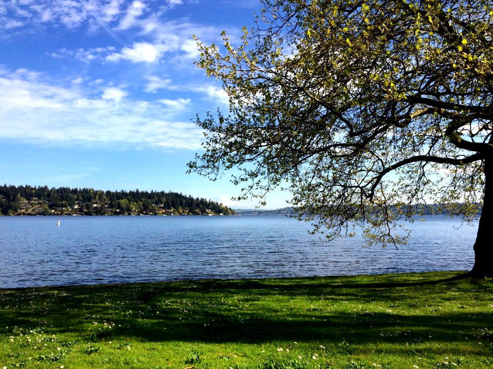 Seward park, Seattle, United states