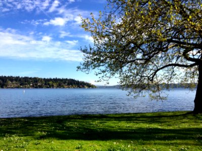 Seward park, Seattle, United states photo