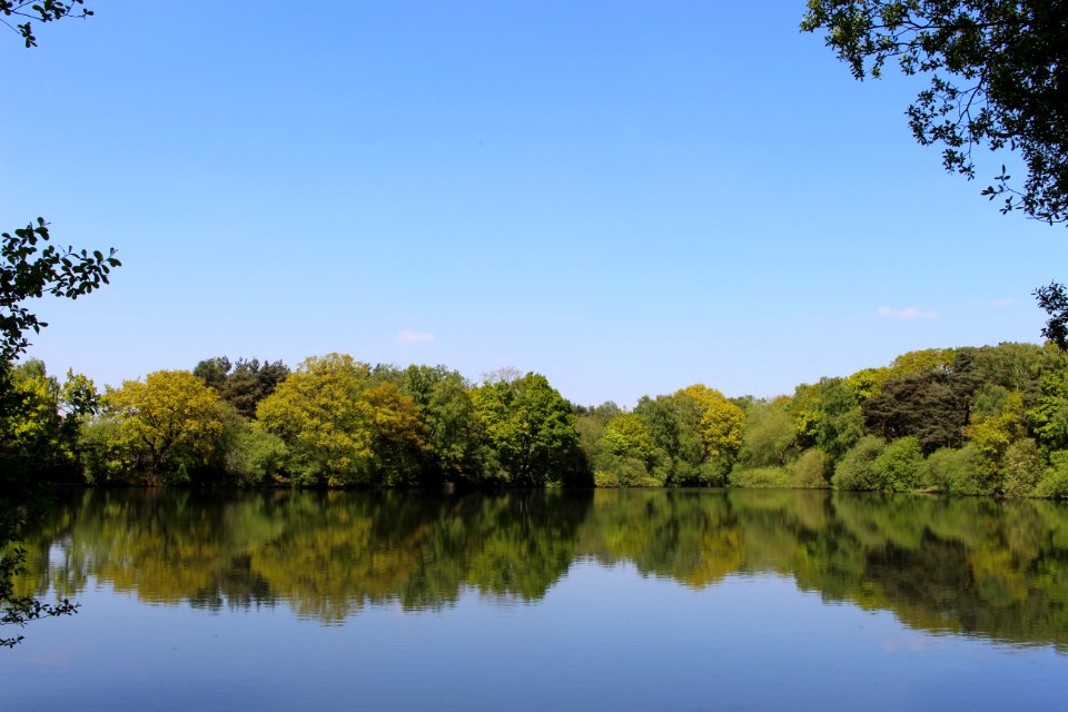 Lincolnshire, United kingdom, Summer
