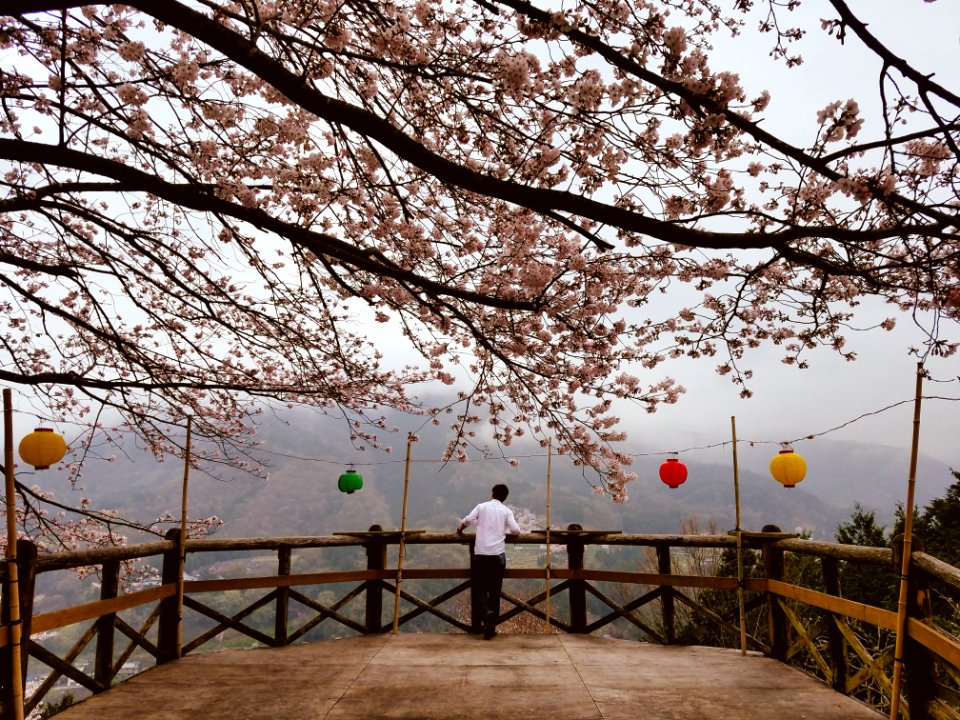 Mima, Japan