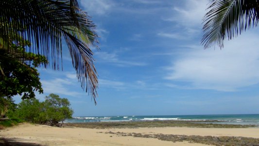 Costa rica, Guanacaste province, Central america