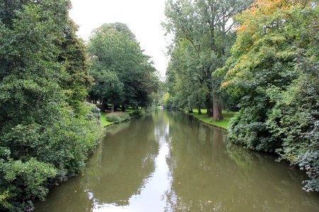 Bruges, Belgium, Forest