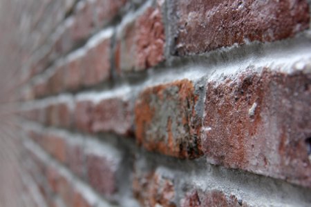 Tarpon springs, United states, Brick